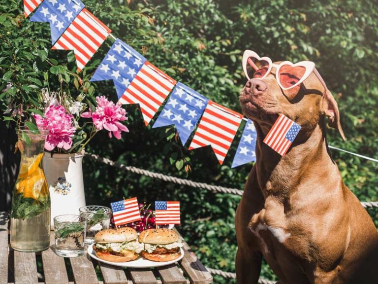 Penny and the Fourth of July