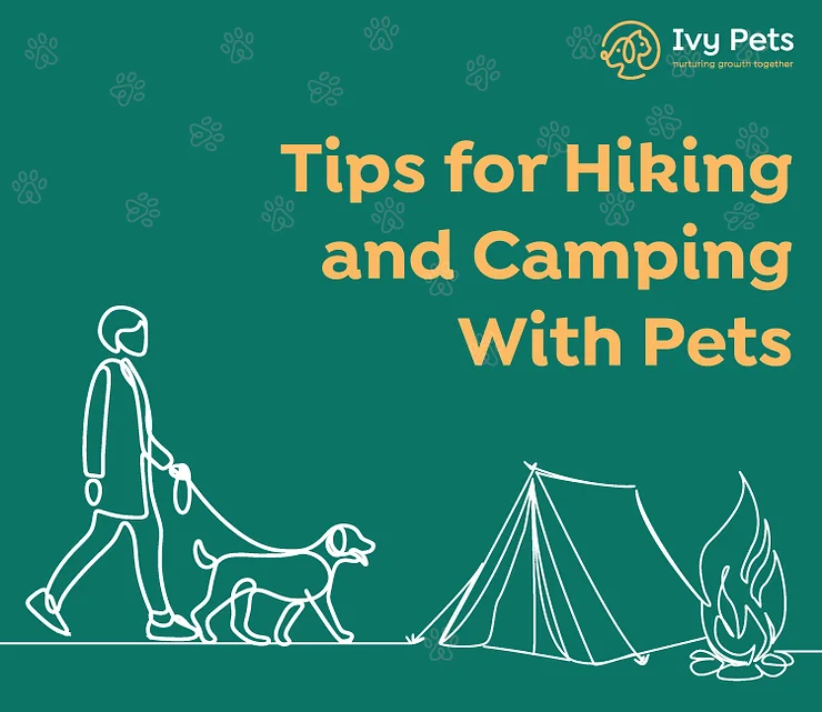 Tips for hiking