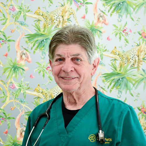 John Sangiorgino CMO