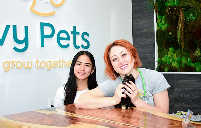 contact-brooklyn-vet