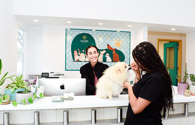 employment-ivy-pets-tribeca