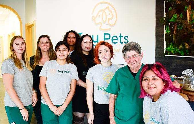 ivy-pets-mission
