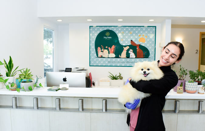 ivy-pets-tribeca
