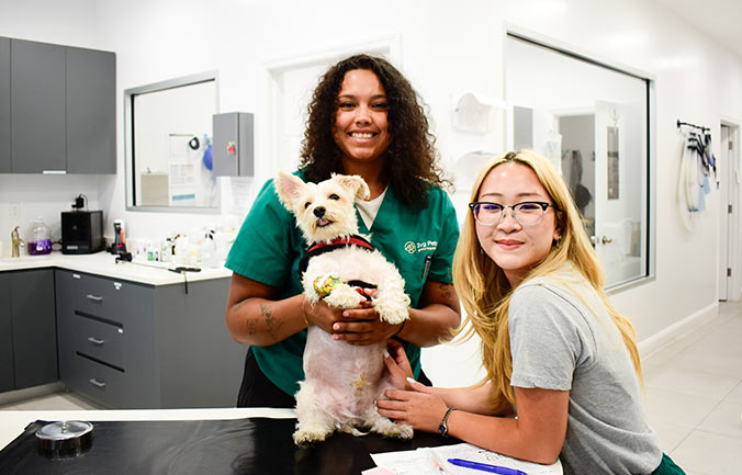urgent-pet-care-brooklyn