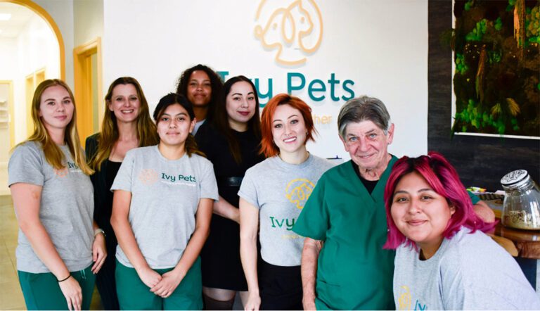 Ivy Pets Amazing Team