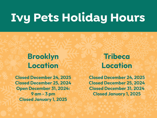 Holiday Hours for Ivy Pets